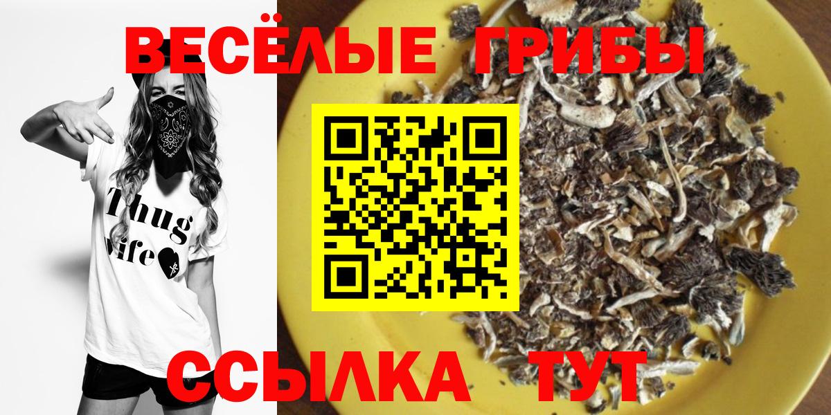 Галлюциногенные грибы Psilocybine cubensis Нефтеюганск
